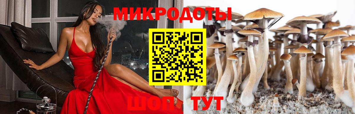 Липецк  Галлюциногенные грибы Magic Shrooms  Вход с VPN 